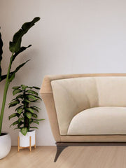 The Solace Luxe Chair